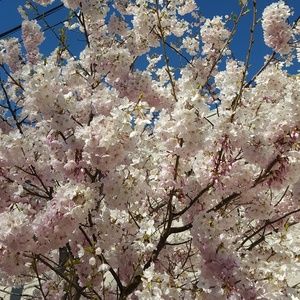 Meet your Posher, Marina